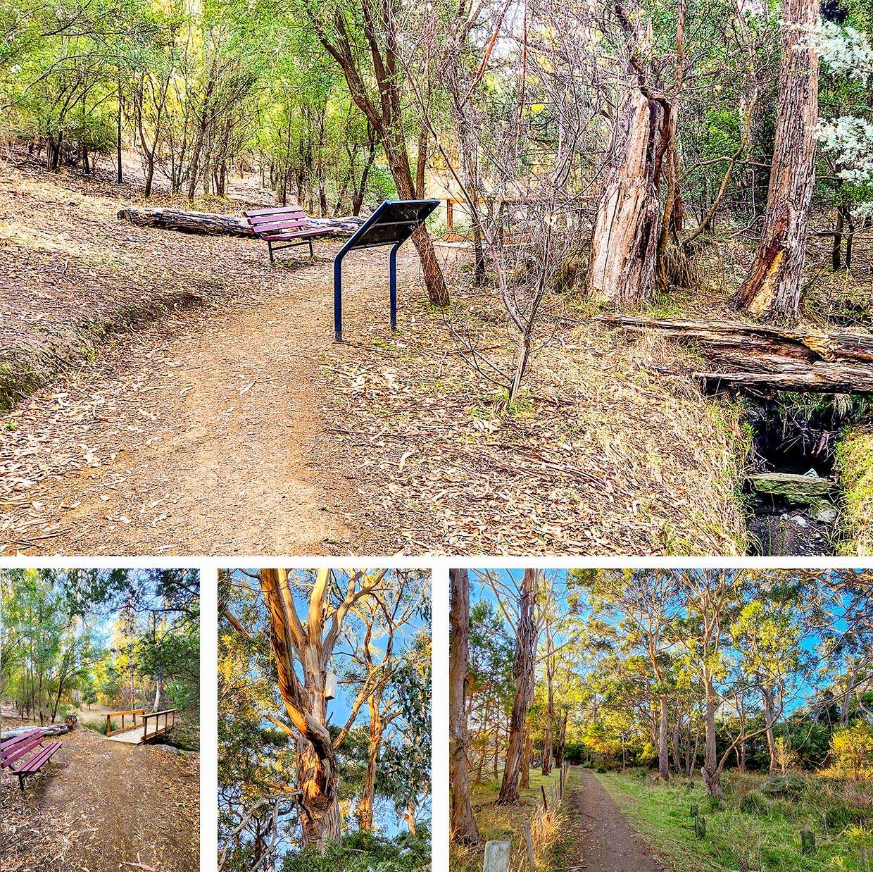 Mary knoll reserve